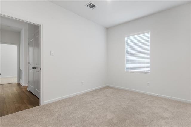 4406 Wood Fern Road - Photo 14