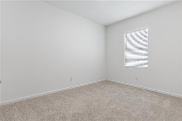 4406 Wood Fern Road - Photo 15