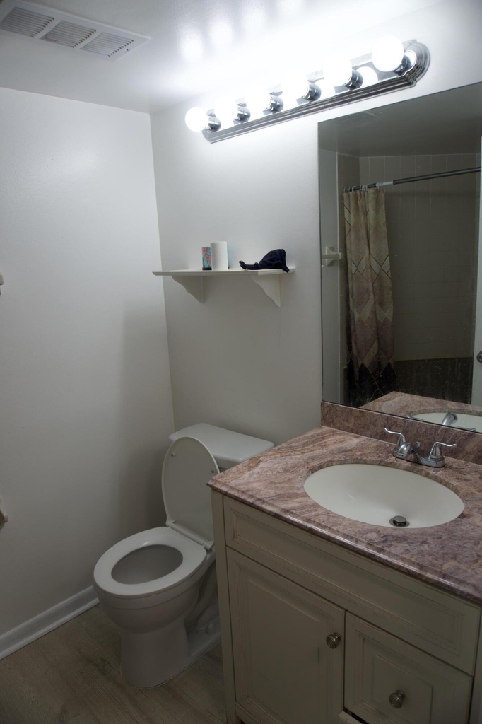 213 Lake Pointe Drive - Photo 11