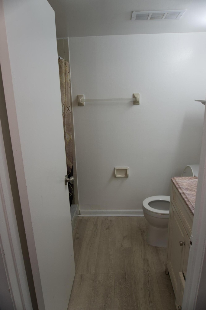 213 Lake Pointe Drive - Photo 10