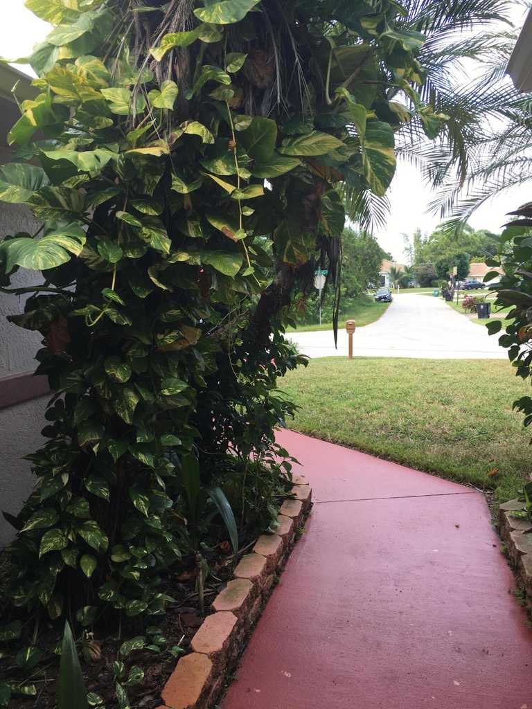 1538 Sw Neptune Avenue - Photo 1