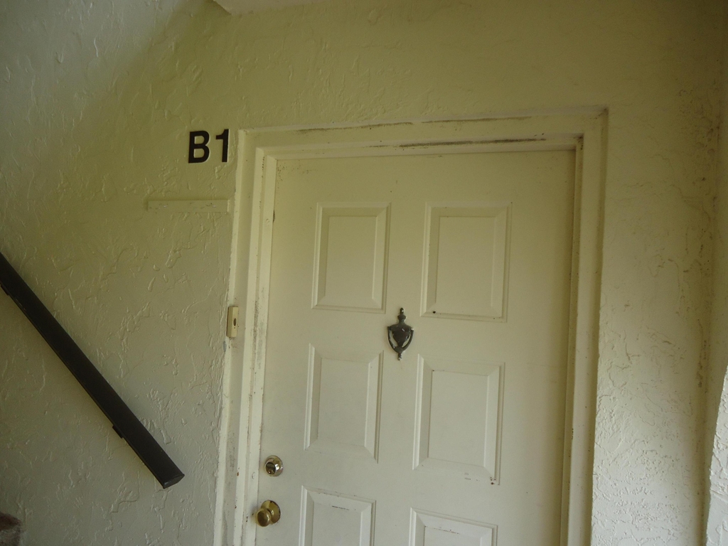 4731 Sable Pine Circle - Photo 1