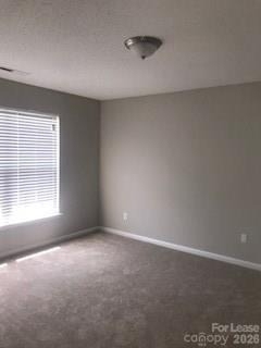 14128 Riding Hill Avenue - Photo 8