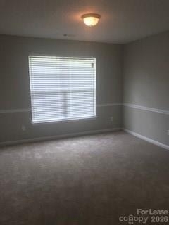 14128 Riding Hill Avenue - Photo 7