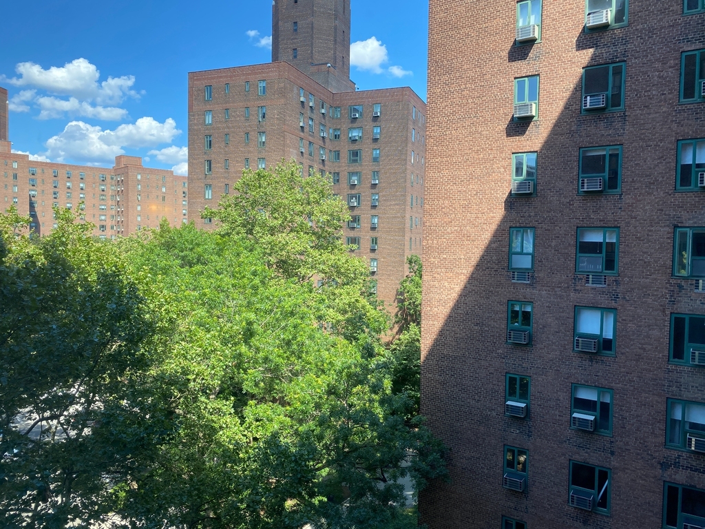 1st Avenue - Photo 9