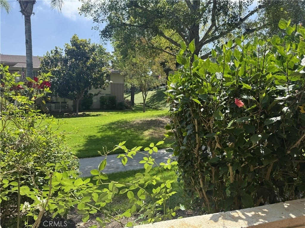 254 Calle Aragon - Photo 3
