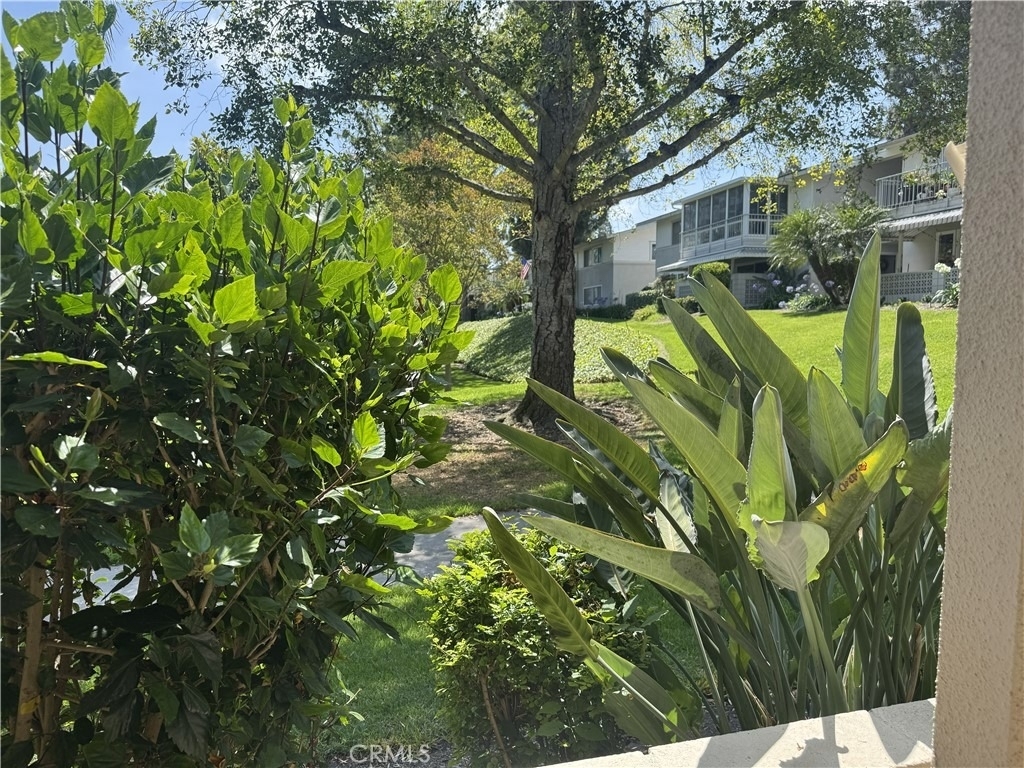 254 Calle Aragon - Photo 4