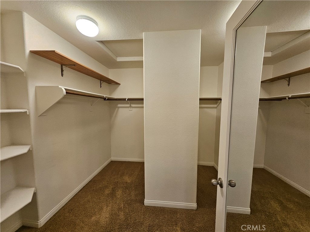 27444 Brandon Lane - Photo 16