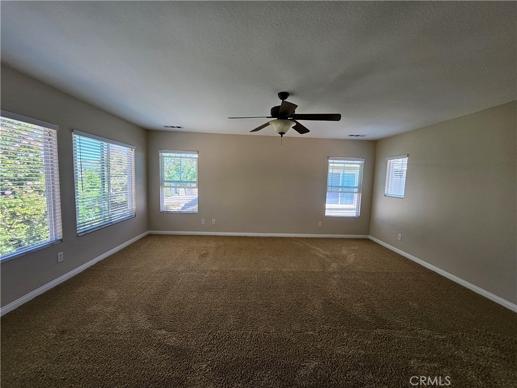 27444 Brandon Lane - Photo 12