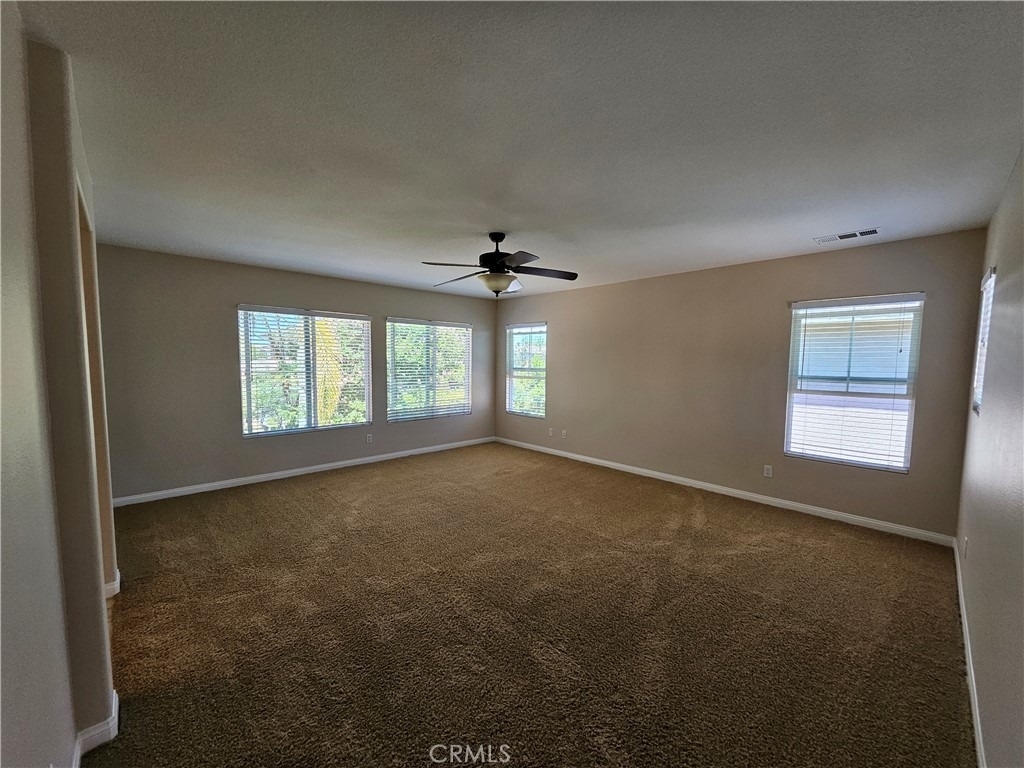 27444 Brandon Lane - Photo 13