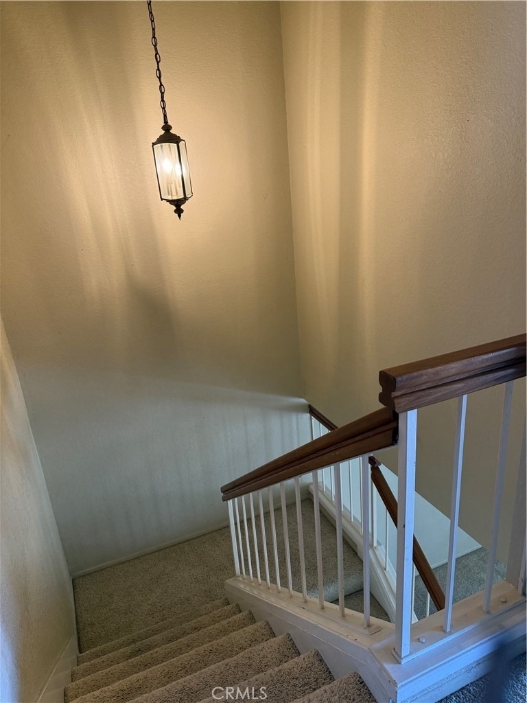 1325 Solera Lane - Photo 13