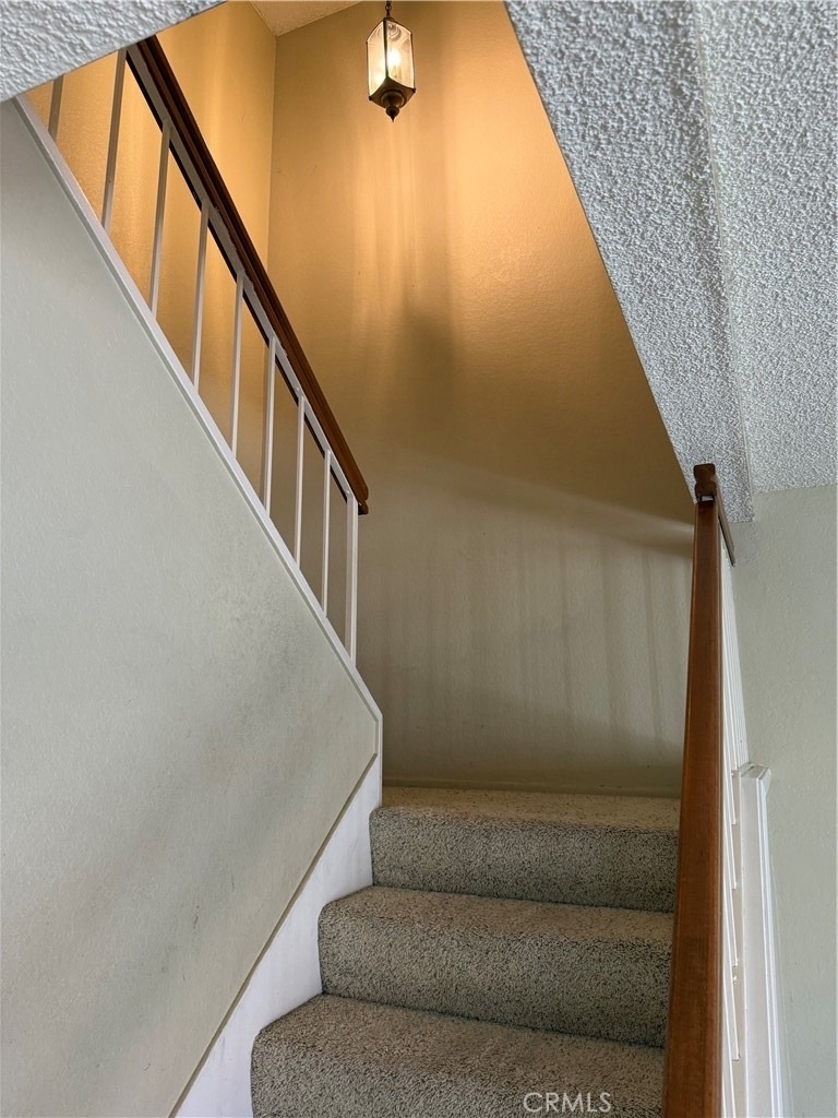 1325 Solera Lane - Photo 12