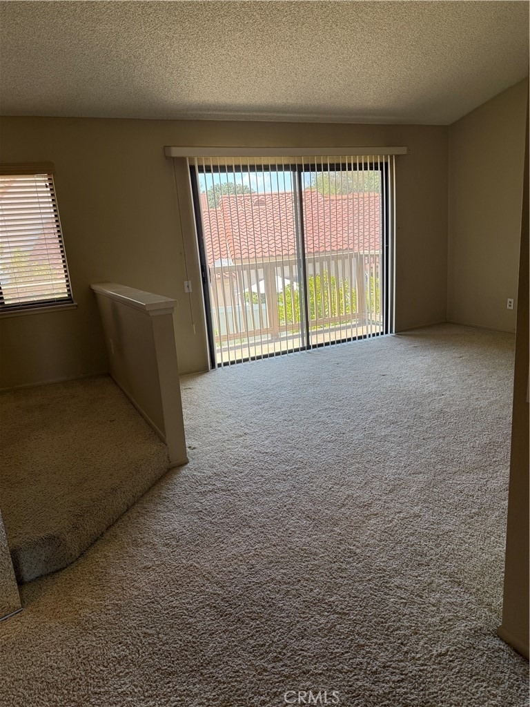 1325 Solera Lane - Photo 16