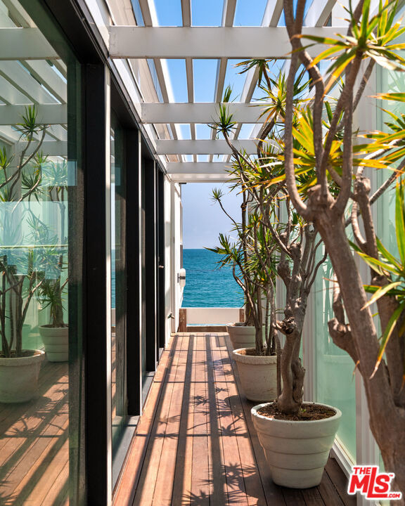27044 Malibu Cove Colony Drive - Photo 11