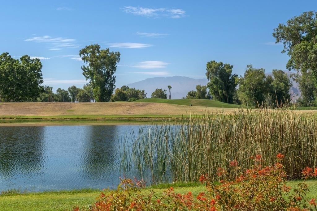 35018 Mission Hills Drive - Photo 39