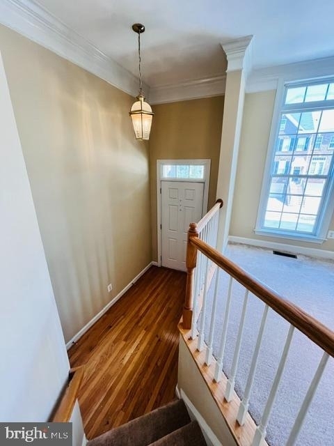 1117 Keokuk Terrace Ne - Photo 1