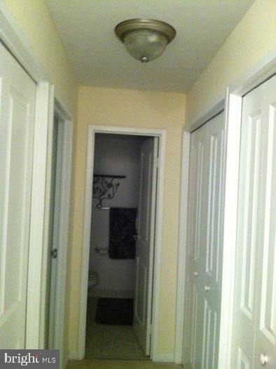 10570 Main Street - Photo 7