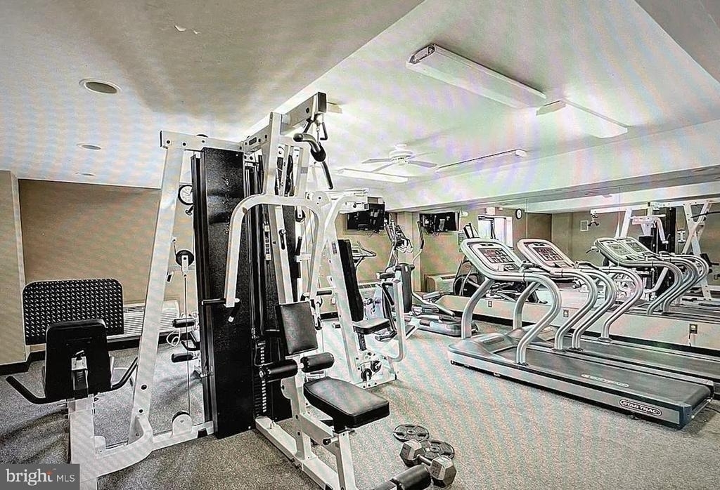 10570 Main Street - Photo 18