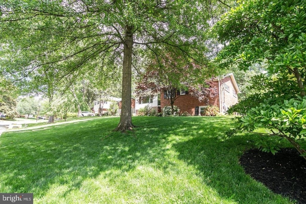 8411 Morey Lane - Photo 1