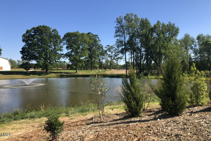 203 Condra Road - Photo 20