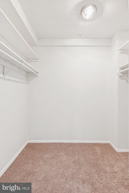 2101 Chestnut Street - Photo 12