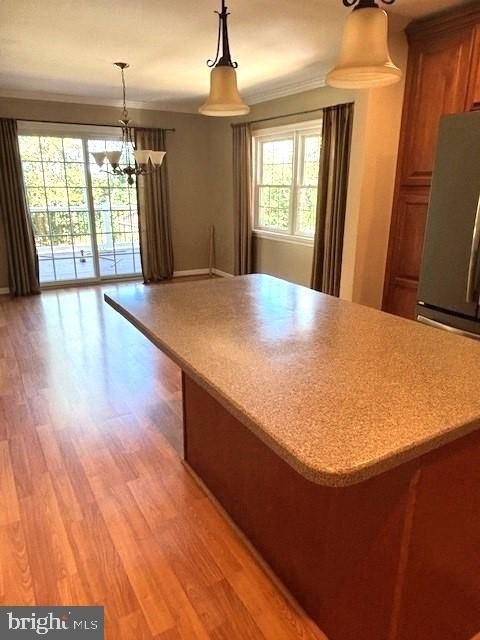 5331 Strasburg Road - Photo 4