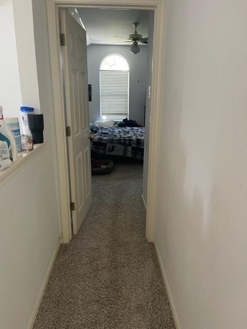 1105 Stephanie Lee Ln - Photo 19