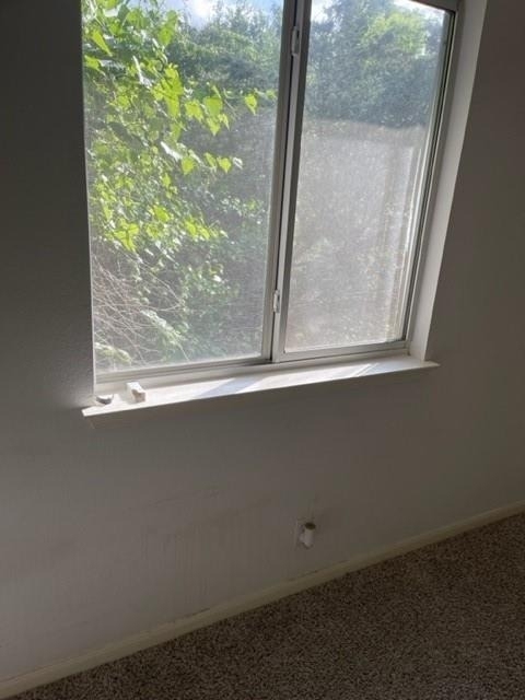 1105 Stephanie Lee Ln - Photo 22