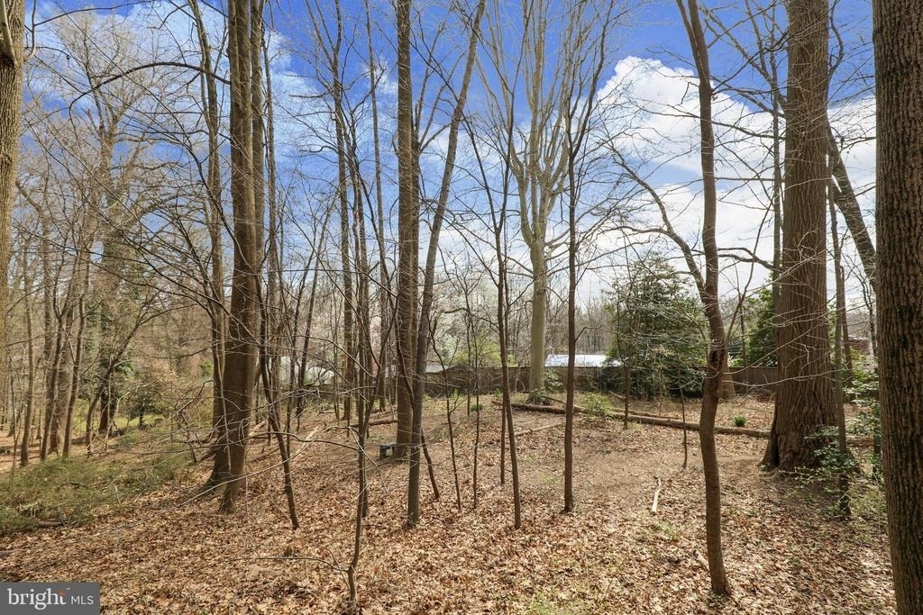 2066 Derby Ridge Lane - Photo 27