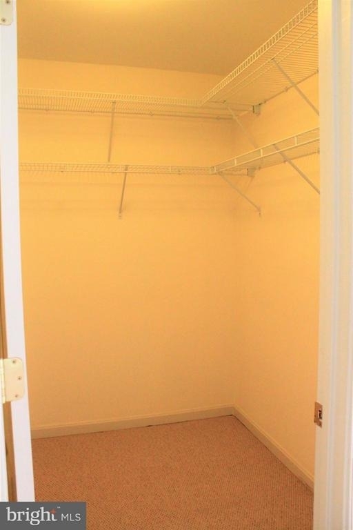 23514 Gardenside Place - Photo 16