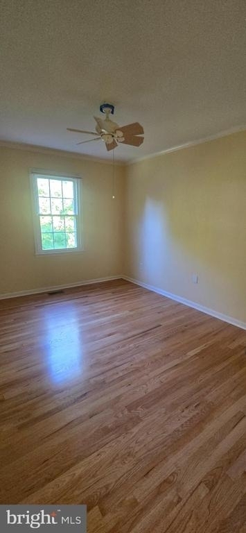 10905 Bolton Drive - Photo 15