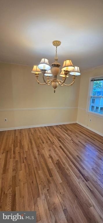 10905 Bolton Drive - Photo 8