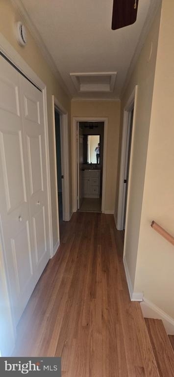 10905 Bolton Drive - Photo 12