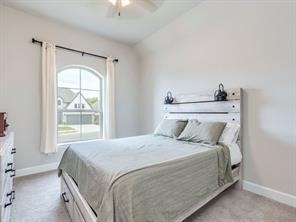 114 Chinaberry Bnd - Photo 6