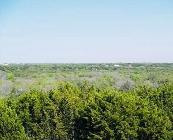 12017 Springs Head Loop - Photo 23