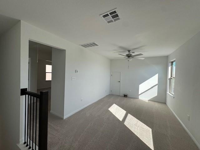 365 Papaya Dr - Photo 24