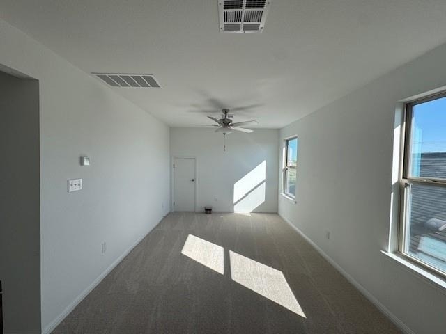 365 Papaya Dr - Photo 18
