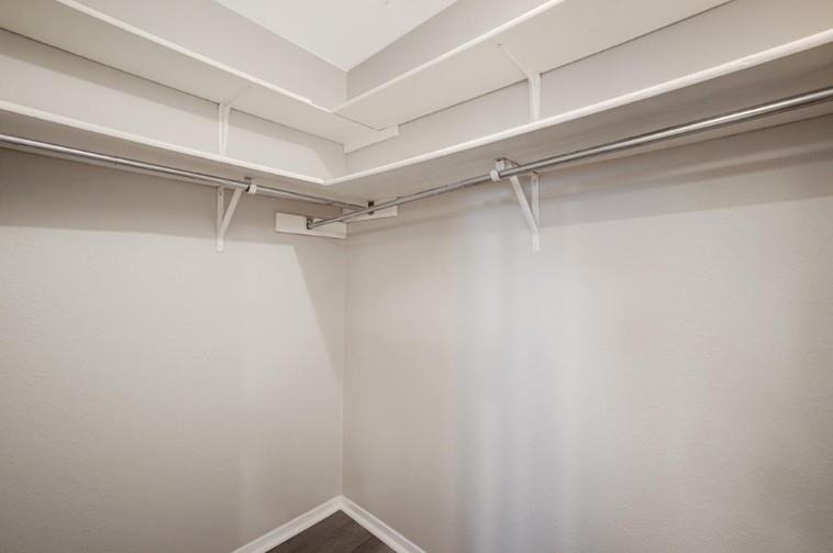 11428 Bristle Oak Trl - Photo 21