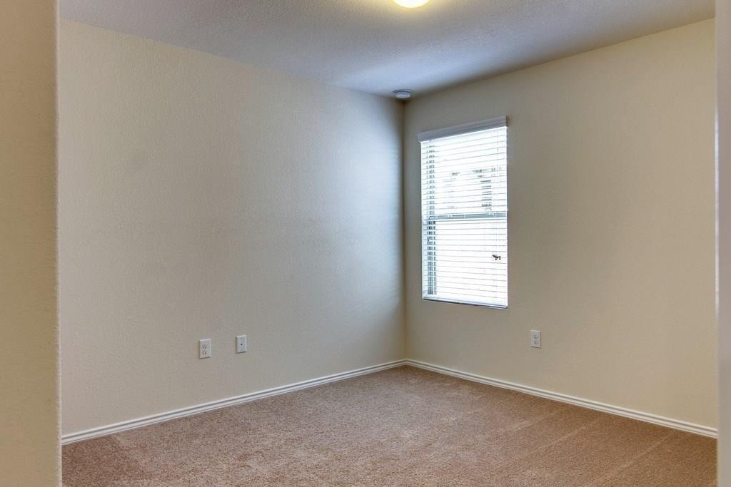 10604 Dimitrios Dr - Photo 12