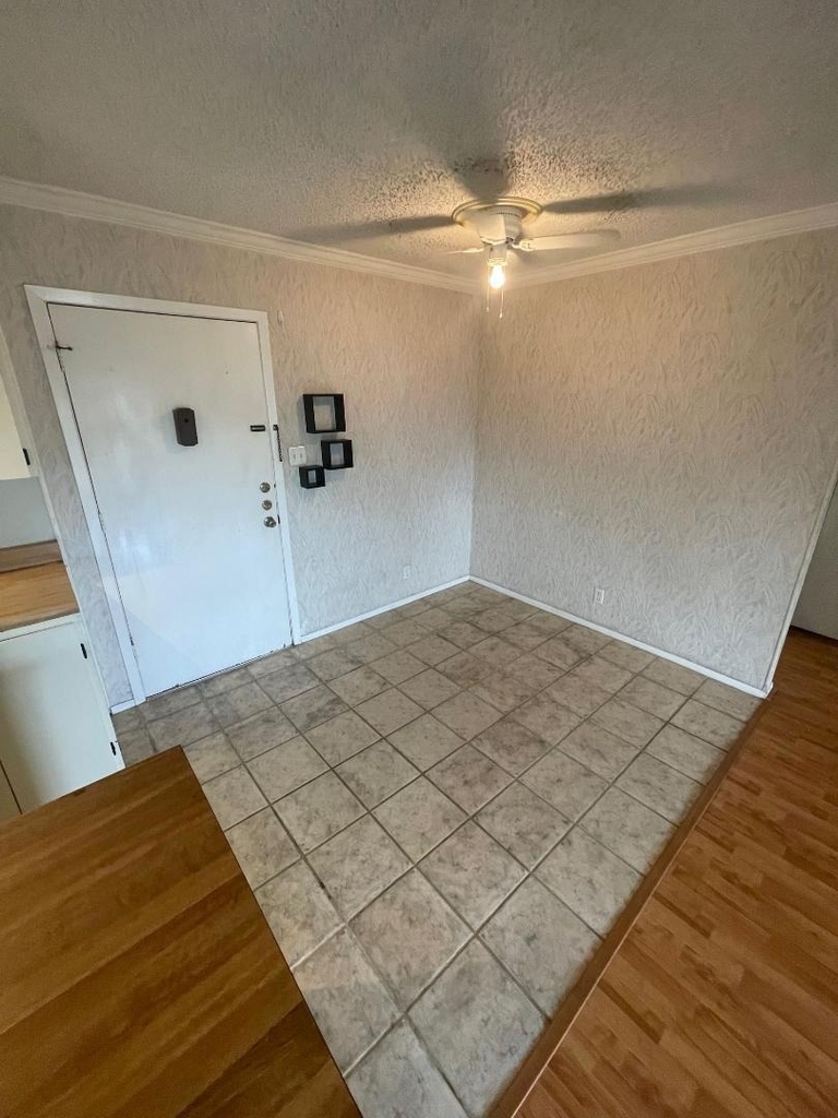 910 Duncan Ln - Photo 3