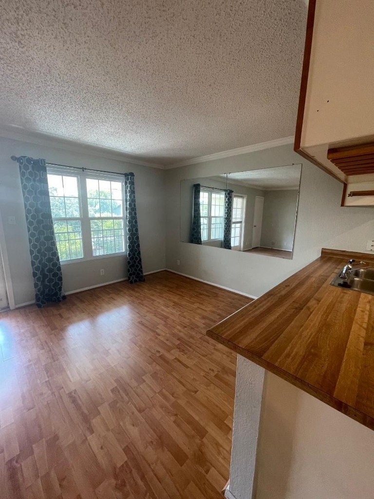 910 Duncan Ln - Photo 5