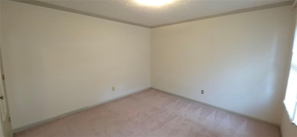 4910 Gold Mine Drive - Photo 10