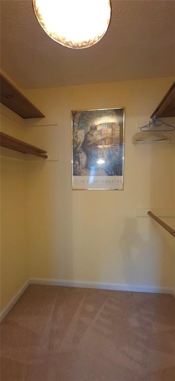 4910 Gold Mine Drive - Photo 12