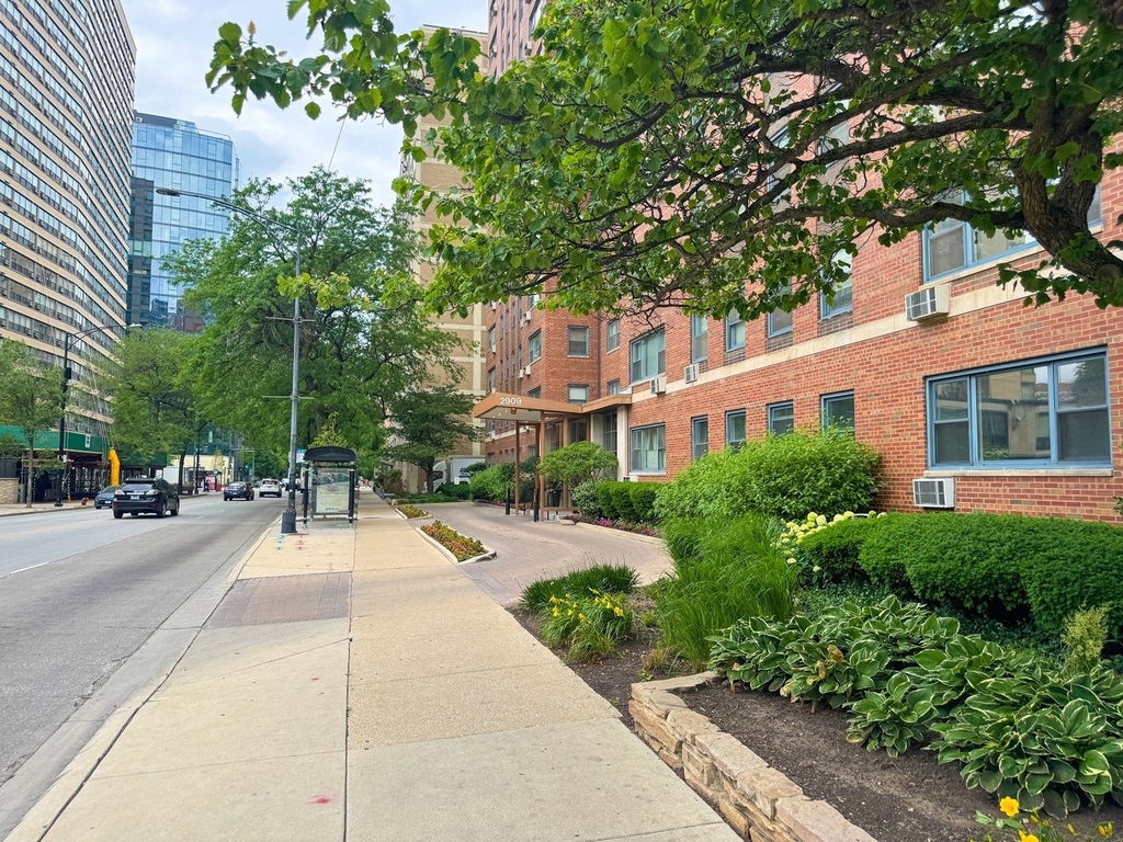 2909 N Sheridan Road - Photo 12