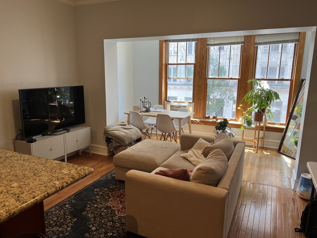 1042 W Bryn Mawr Avenue - Photo 2