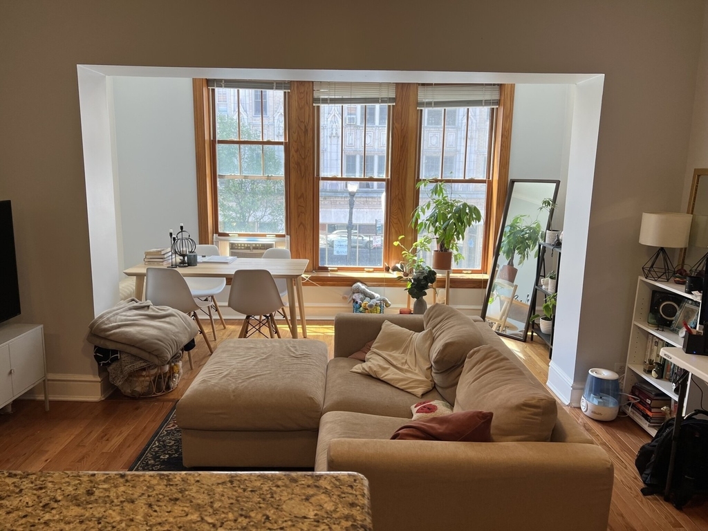 1042 W Bryn Mawr Avenue - Photo 1