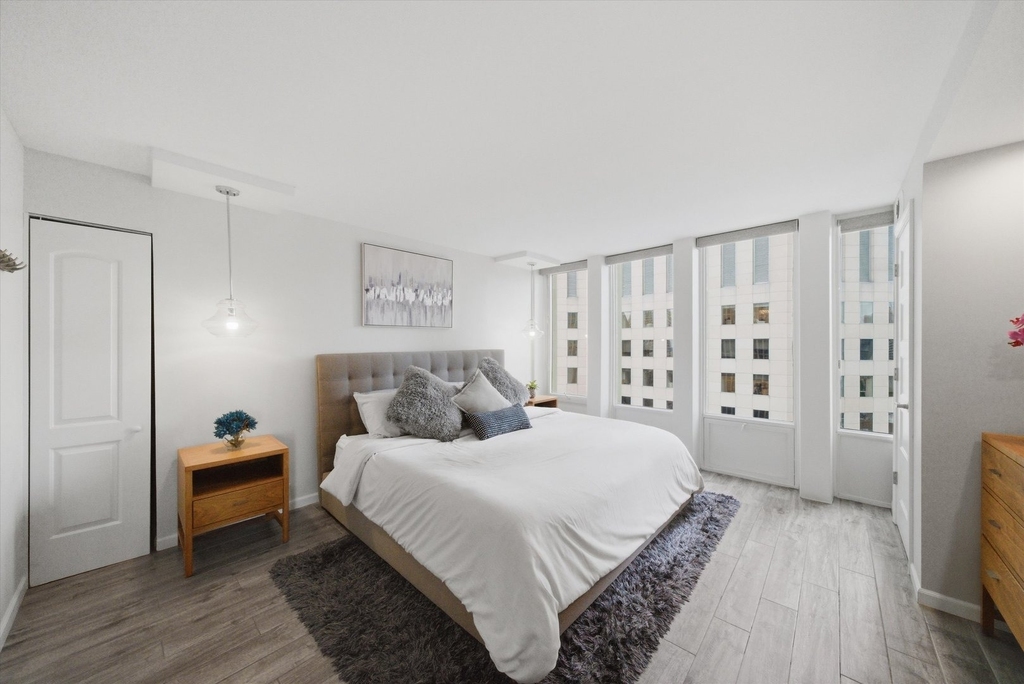 100 E Walton Street - Photo 8