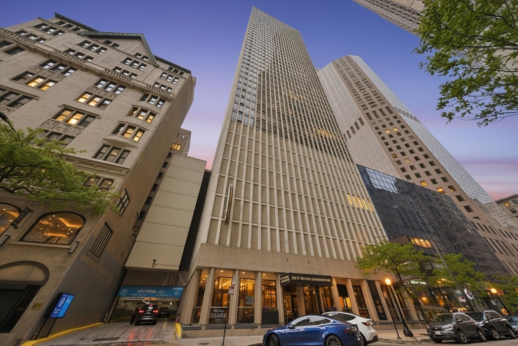 100 E Walton Street - Photo 16