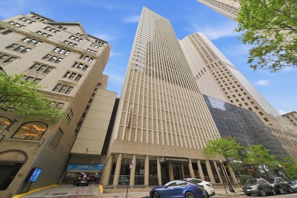 100 E Walton Street - Photo 0