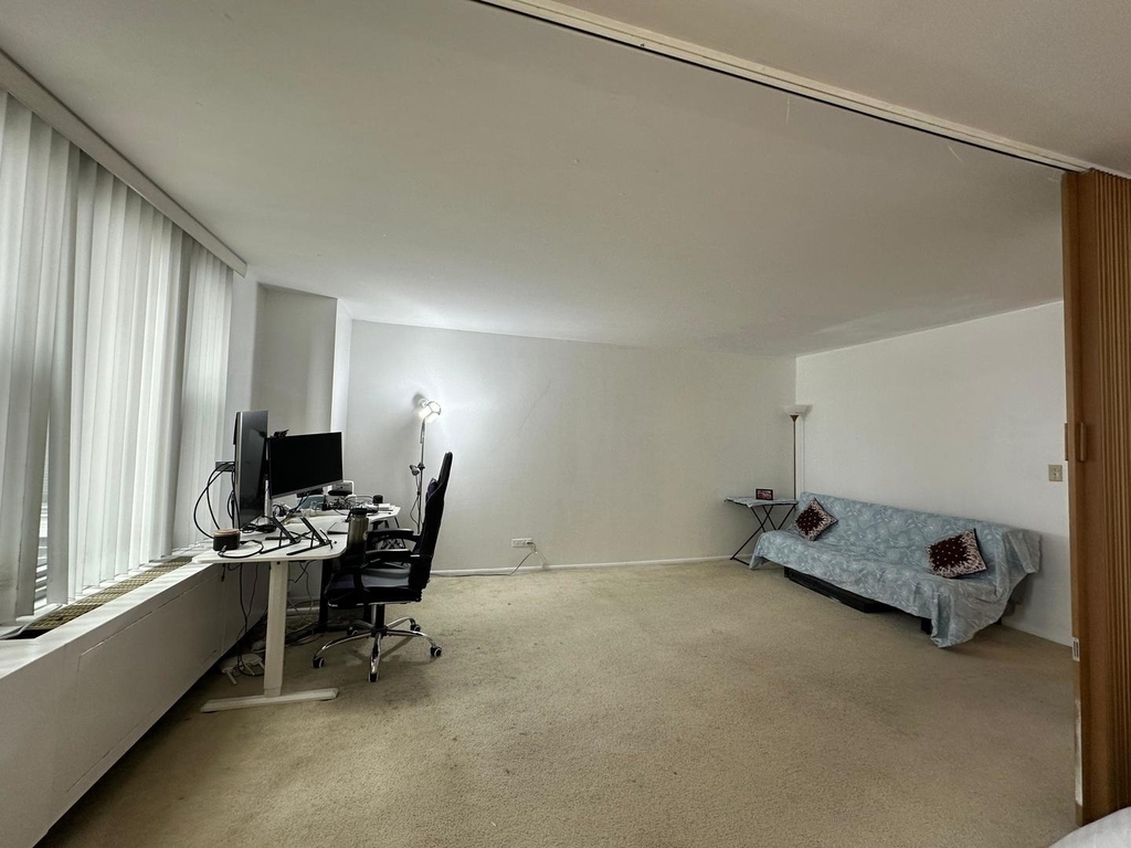 400 E Randolph Street - Photo 13
